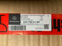 T&uuml;r Seitenscheiben / Heckscheibe f&uuml;r MB S-KLASSE W223